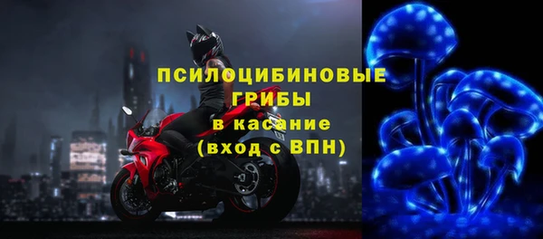 ГАЛЛЮЦИНОГЕННЫЕ ГРИБЫ Балахна