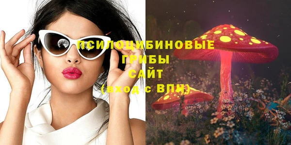 ГАЛЛЮЦИНОГЕННЫЕ ГРИБЫ Балахна