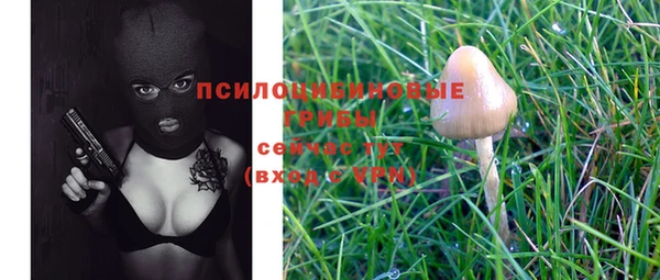 спайс Баксан