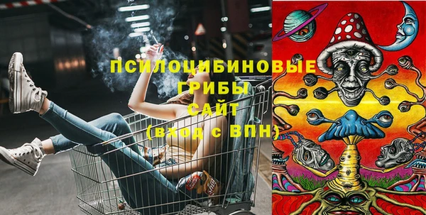ГАЛЛЮЦИНОГЕННЫЕ ГРИБЫ Балахна